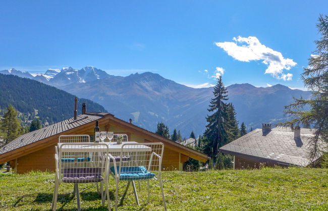 Orchidée 111 - Foto 1