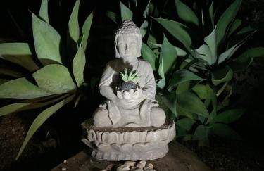 Chalé Atrás da Pedra - Foto 21