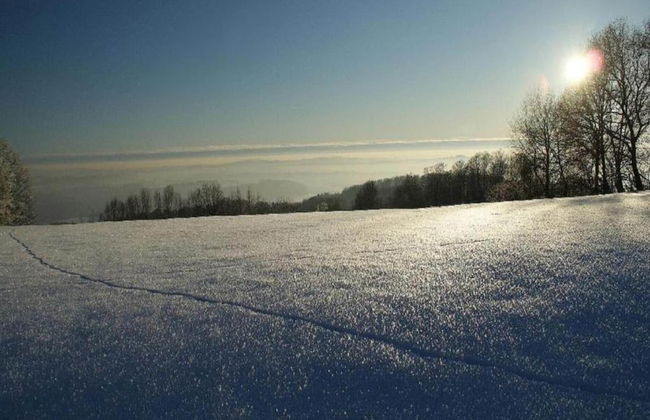 Comfortably Furnished Apartment in Lower Bavaria - Foto 33