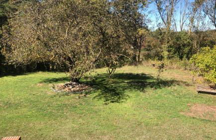 EVA & TRAVEL - El Bosquet de Prades - Foto 37