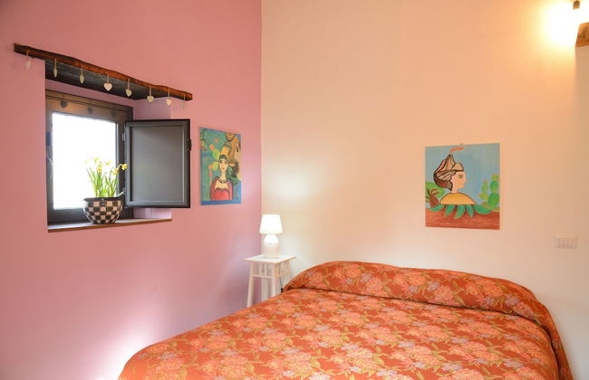 Il Tanaceto - Foto 3