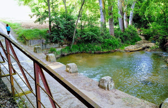 Il Querceto - B&B e Appartamenti Vacanze - Foto 43