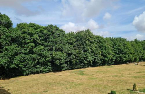 The Farmhouse - Linton Horseheath - Foto 20