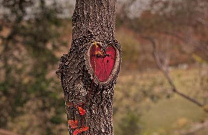 VINTAGE RIVER CAMP CABIN! PRIVATE RIVER ACCESs! - Foto 25