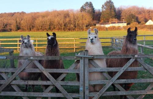 2 Bed in Axbridge oc-91358 - Foto 21