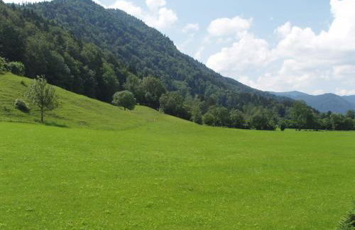 Ferienwohnungen Familie Brunner, Kreuth-Reitrain - Foto 10