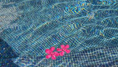 Villa with air-conditioned pool, 15 minutes from beaches and Montpellier - Foto 2