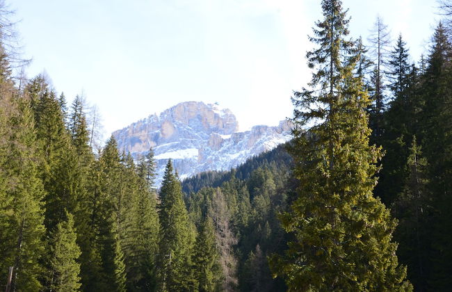 Casa del Bosco - Foto 29