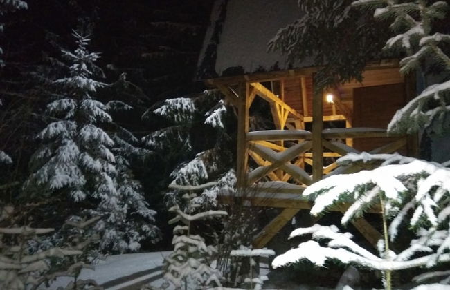 Ski-Lake Cottage Nízke Tatry - Foto 43