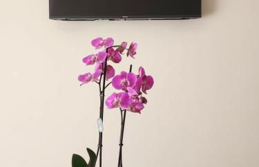 CASA TIO PIERO Centrale accogliente e confortevole - Photo 6