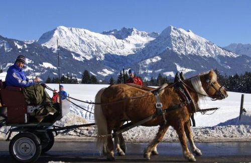 Haflinger Hof - Photo 3