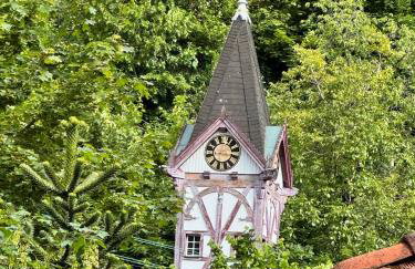 Die "Alte Schmelz"- Boutique-Landhotel & Restaurant - Foto 49