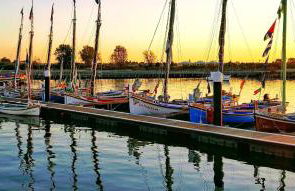 Vila Natura - Foto 81