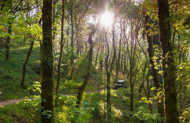 Tour de buggy por Arcos de Valdevez - Foto 7