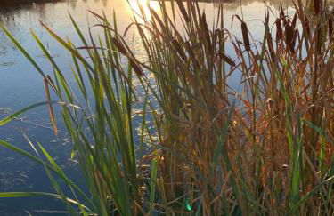 Kathrin`s Appartment - Foto 16