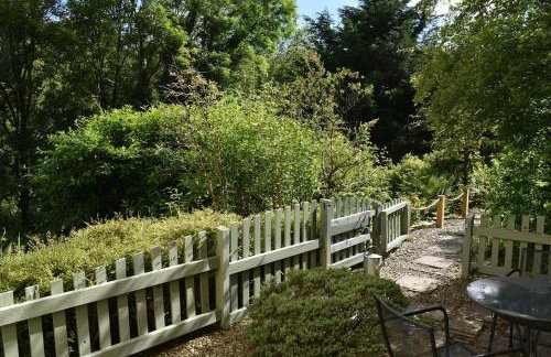 Cosy Cottage overlooking the Teifi Gorge - Foto 38