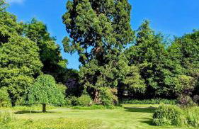 Luxury Shepherds Hut on Powis House Estate - Foto 10