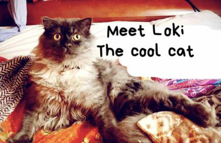 Amazing Riverside Boheme Home in SW London! - Foto 32