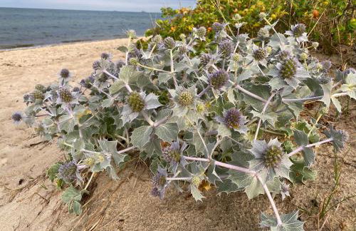 Apartament Vespa - Foto 24