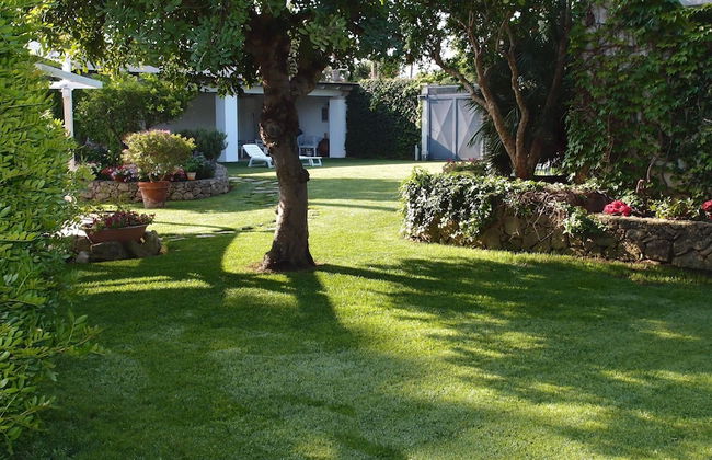 3197 Villa Delle Camelie by Perle di Puglia - Foto 21