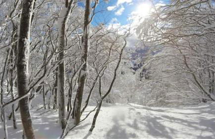 Appartamento con vista sul Cimone - Foto 41