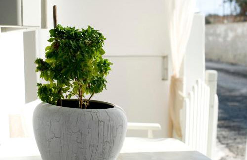 Ostria Studios - Foto 18