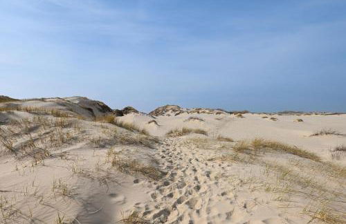 Sleep Space 1 - Green Tiny Spot Amrum - Photo 23