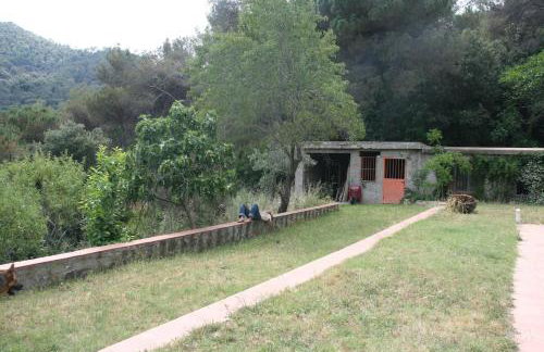 MASIA CAN SUNYER AGROTURISMO - Foto 6