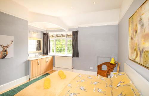 Deer Leap House - Photo 55