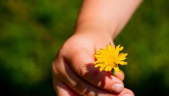 Eggert Alm Apartments - Foto 5