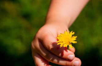 Eggert Alm Apartments - Foto 5