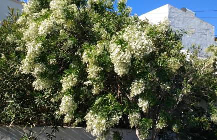 Casa Montaña de Tahiche - Foto 38