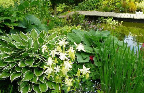 Blaenfforest Granary Newcastle Emlyn - Photo 21