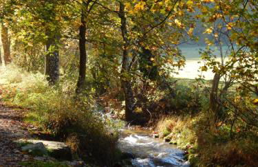 FREE Apartment - Bei den Thermen - Foto 73