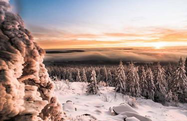 Ferienwohnung im Chaletstil Sonnenidyll 51 qm Wellness Fitness Sauna Bergrödelhof - Foto 29