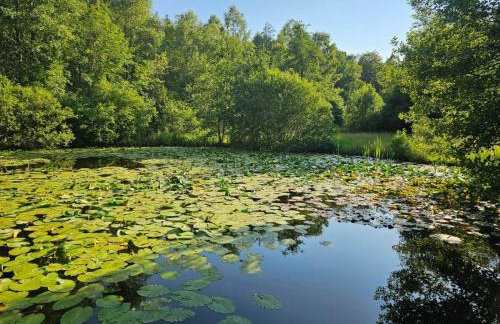 Ferienwohnung Hirschlein mit Schwarzwaldblick in Baiersbronn - Foto 21