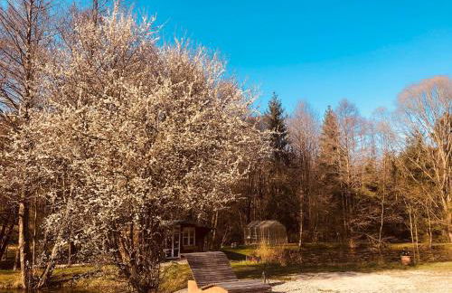 Fischerhaus - Foto 8