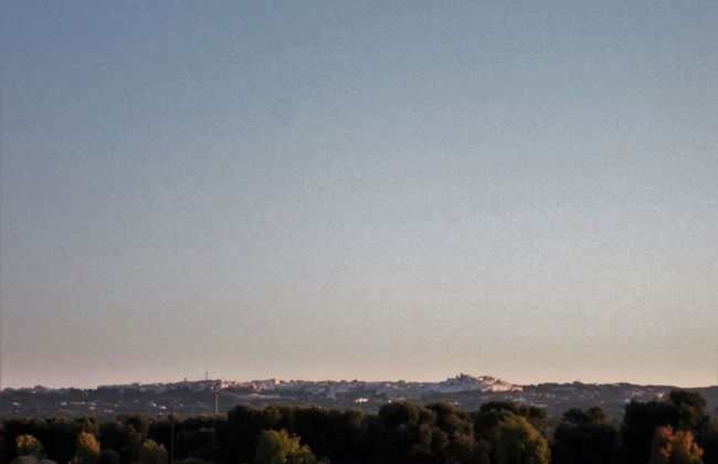 Masseria di Benedetto - Photo 58