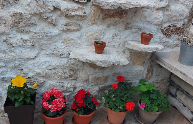 Apartments Nona - Foto 74