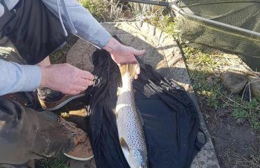 Cottage - Sleeps 3, Parking & Fishing - Foto 17