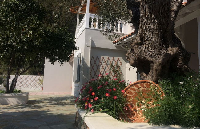 Villa Tillia - Foto 43