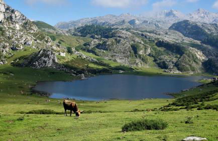 El Mirador del Sella - Photo 62