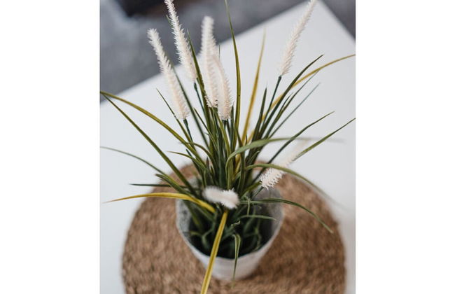 Torbogenhuus No. 5 Comfortable Holiday Residence - Foto 30