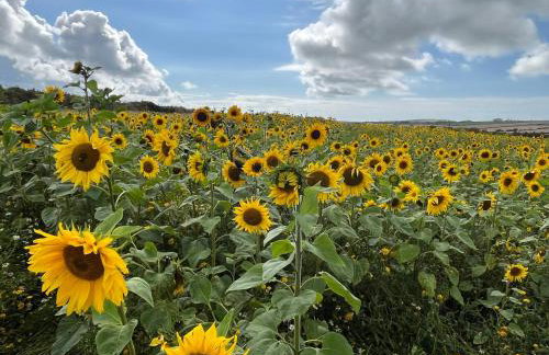 Stable Cottage - Foto 27
