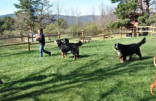 Eco Urbión - Foto 69