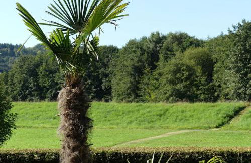 Holiday apartment with 2 bedrooms - Photo 11