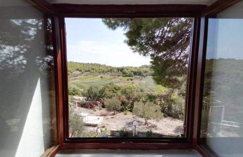 Apartments Elena & Damir - Foto 12