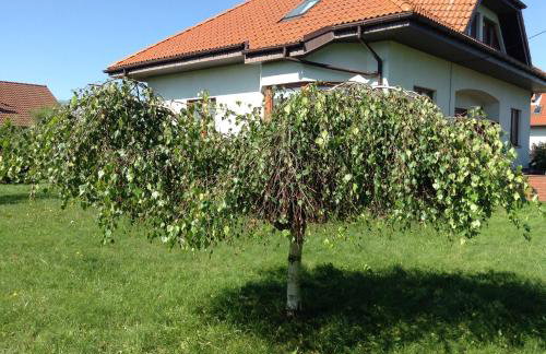 Landhaus mit Garten - Foto 39