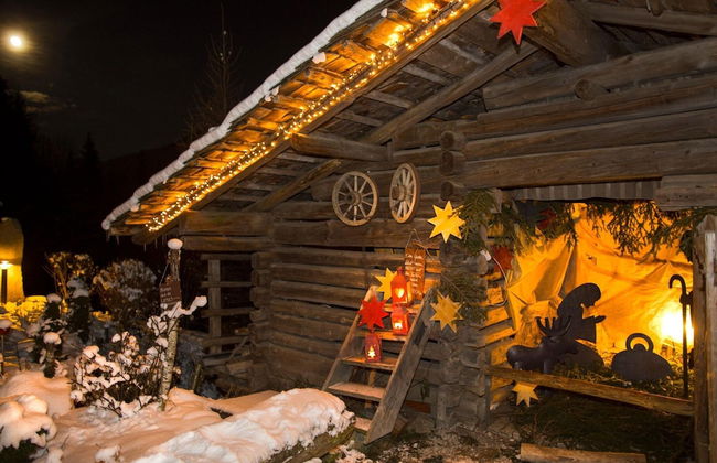 Chalet in Wildkogel Near Ski Slopes - Foto 12