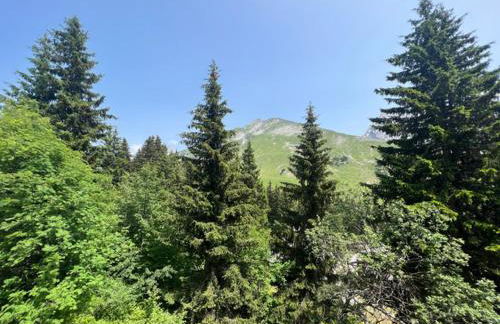 Appartement Manigod/La clusaz - Photo 24